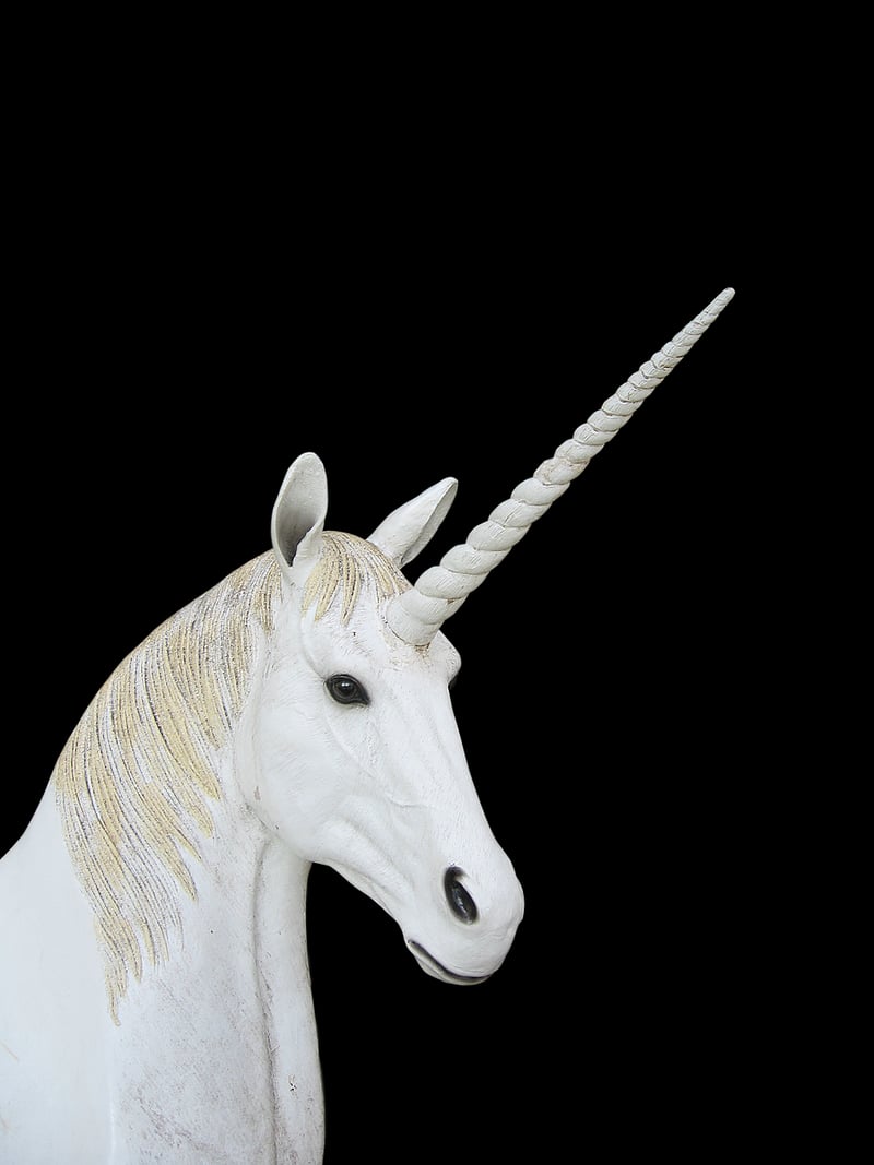 Unicorn Treats