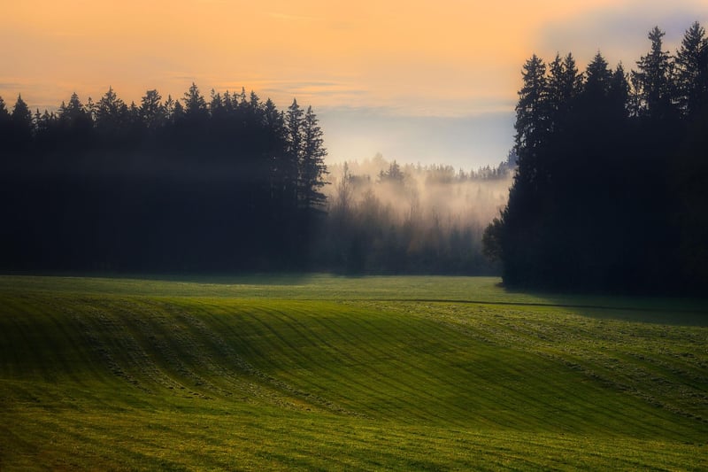 Black Forest, Germany