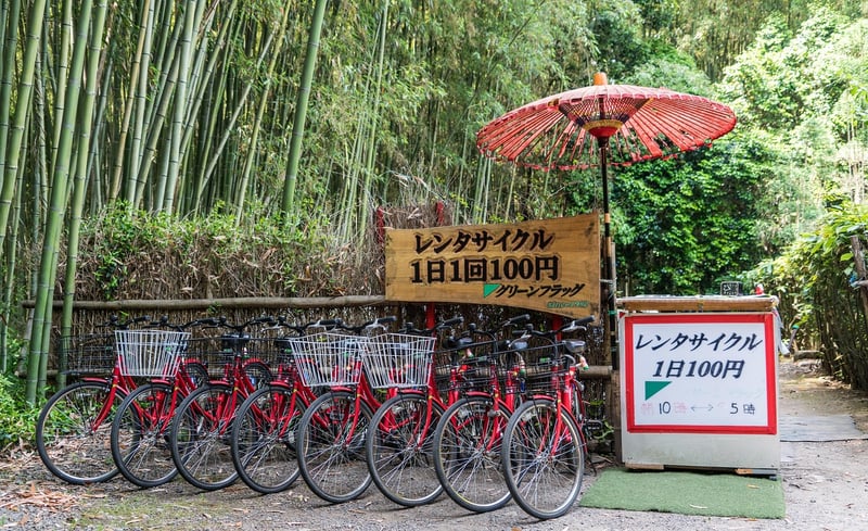 Sagano Bamboo Forest, Japan