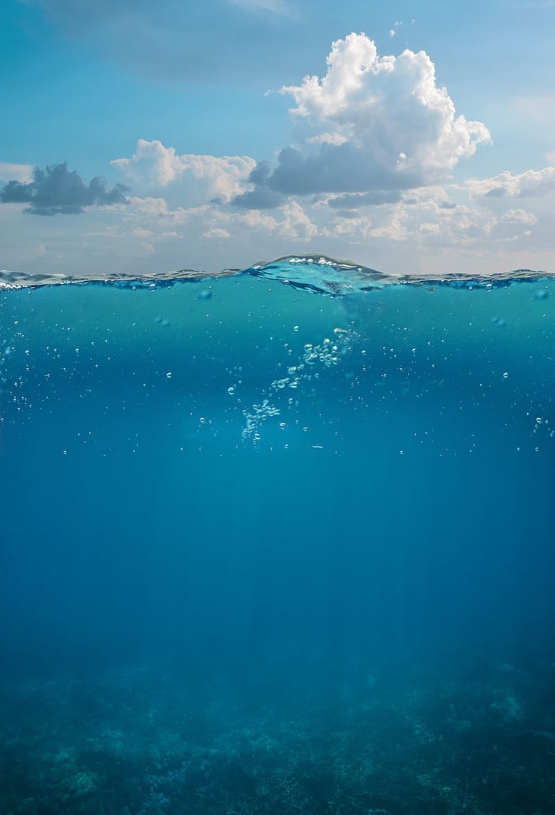 Coral Reef Tail